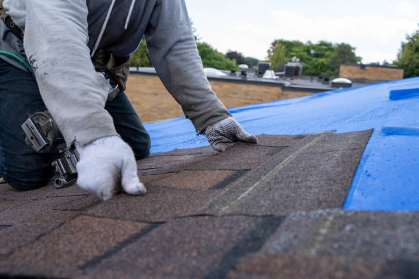 Best Roof Gutter Cleaning  in Broadlands, VA